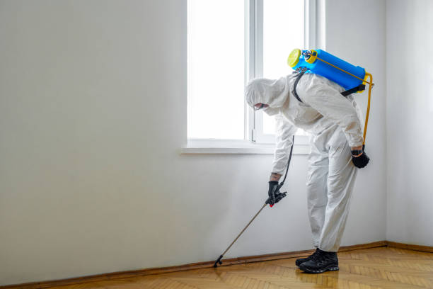 Best Best Pest Control Companies  in Gardner, IL